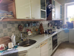 ������ �������� ������� ���� 13