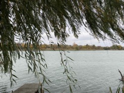 Продам дачу в СТ Ятрань. фото 16 Продам дачу в СТ Ятрань. фото 16