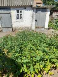 Продається половина будинку на Балці. фото 5 Продається половина будинку на Балці. фото 5