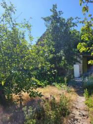 ������ ���� � ������� ���������� ������ ���� 3