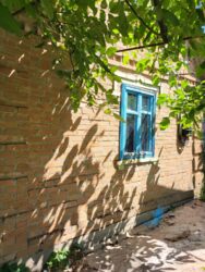 ������ ���� � ������� ���������� ������ ���� 5