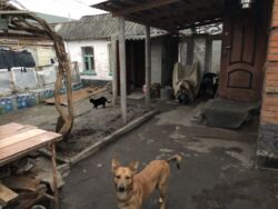 🏡 �������� ������� � ���� ����������� + ������� ���� ����� ���� 8