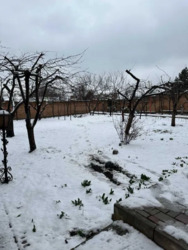 ������ ���� ������� �� ����� ������. ���� 8