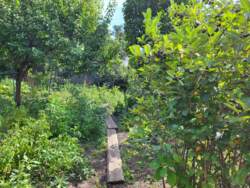 Продам добротний будинок на Арнаутова фото 15 Продам добротний будинок на Арнаутова фото 15