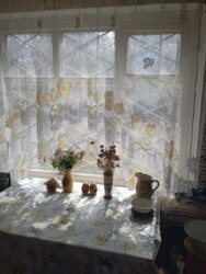 ������ ���� ���� ������ ���� 8