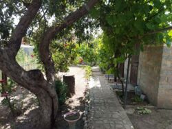 ������ ������� ������� �.������������� �-� �������������. ���� 4