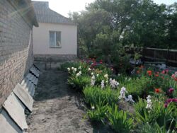 Продам будинок у с. Вільне (5 км від м. Кропивницький). фото 4 Продам будинок у с. Вільне (5 км від м. Кропивницький). фото 4