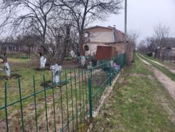 Продам дачний будинок в кооперативі Комунальник. фото 3 Продам дачний будинок в кооперативі Комунальник. фото 3