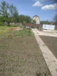 ������ ���� ������ ������� �����������. ���� 13