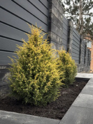 Продається новобудова на Новоолексіївці. фото 2 Продається новобудова на Новоолексіївці. фото 2