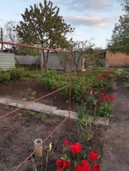 ������ ������� � �������������� ���� 17