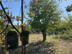 Продам дачу в СТ 'Будівельник' фото 49 Продам дачу в СТ 'Будівельник' фото 49