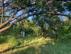 ������ ���� ������. ���� 5