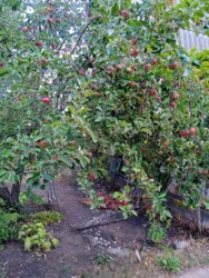 ������ ���� ���� ������ ���� 11