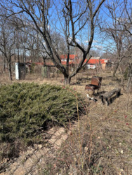 ���� �� ����� ����. ���� 13