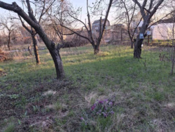 Продаж чудової дачі, СТ Комунальник! фото 3 Продаж чудової дачі, СТ Комунальник! фото 3