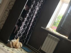 ������� ������� � ������� ������ ���� 7