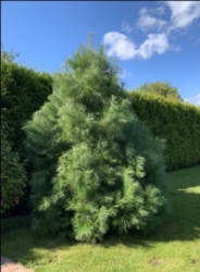 Продаж будинка поблизу центру міста фото 3 Продаж будинка поблизу центру міста фото 3