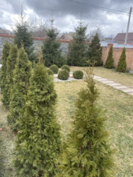 ��������� ������� ������������ ������� ������� � ������������! ���� 18