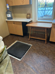 ������ ���� � �� ������. ���� 19