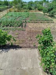 ������ ���� | �� ������������ ���� 9