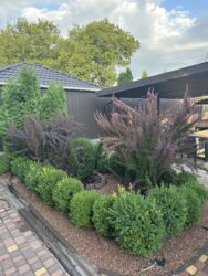 Продаж будинку в Лісопарковій зоні біля озера пров. Куринной. фото 13 Продаж будинку в Лісопарковій зоні біля озера пров. Куринной. фото 13