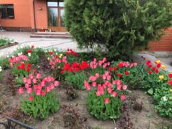 ������ ���� � ������ ������ ���� 6