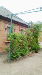 Продаж 2х будинків на одній ділянці Нова Балашівка фото 2 Продаж 2х будинків на одній ділянці Нова Балашівка фото 2