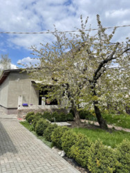 ������ ������� ������ �������� ���� 15