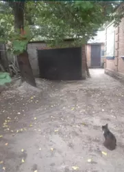 ������ ������� ����� ���� ��������� ���� 3