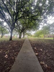 ���� �������� �����, �� '��������' ���� 12