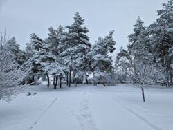 Продається будинок на Лелеківці ( Молодіжне). фото 4 Продається будинок на Лелеківці ( Молодіжне). фото 4