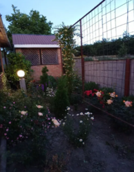 Продам будинок с. Клинці фото 3 Продам будинок с. Клинці фото 3