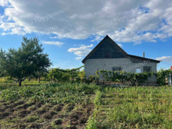 ������ ������������� ������� ������ ����. ���� 6