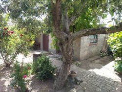 ������ ������� ������� �.������������� �-� �������������. ���� 3