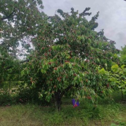 ̳öíèé áóäèíîê ó ÑÒ ßâà ôîòî 48 ̳öíèé áóäèíîê ó ÑÒ ßâà ôîòî 48