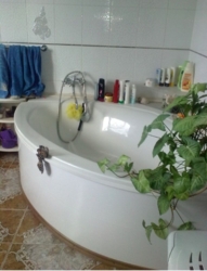 Шикарный дом в прекрасном месте! фото 17 Шикарный дом в прекрасном месте! фото 17