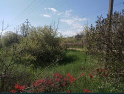 Життя біля міста фото 2 Життя біля міста фото 2