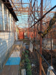 ������� ���� ���� 11