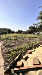 Продається будинок Одеська, Чорноморськ, Молодіжне, Комарова фото 9 Продається будинок Одеська, Чорноморськ, Молодіжне, Комарова фото 9