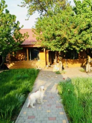 Капитальный добротный очень теплый дом! фото 6 Капитальный добротный очень теплый дом! фото 6