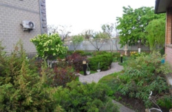 Дом в Александровке фото 4 Дом в Александровке фото 4