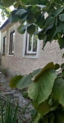 ������� �� ������ ���� 4