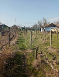 ��������� ������� ���������������, �����������, ������� ���� 2