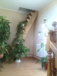 Шикарный дом в прекрасном месте! фото 2 Шикарный дом в прекрасном месте! фото 2