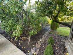 �������� ������� ��������� ��� ���� 13