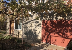 ��������� ������� ����, �������������, �����������, ������� ���� 11