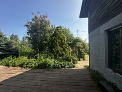 Продається будинок Одеська, Чорноморськ, Іллічівськ, Приморський фото 22 Продається будинок Одеська, Чорноморськ, Іллічівськ, Приморський фото 22