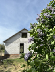 Будинок Олександрівка фото 7 Будинок Олександрівка фото 7