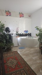 ��������� ������� ���������������, �����������, ������� ���� 17